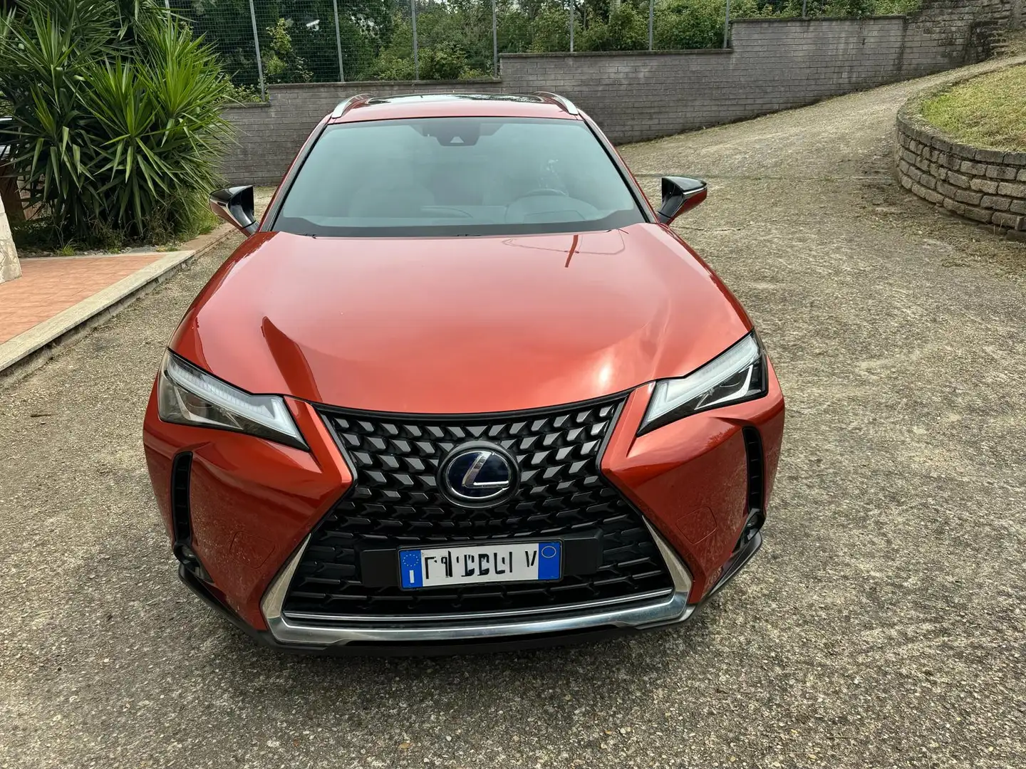 Lexus UX 200 UX 2019 250h 2.0 Luxury 4wd cvt my20 - 1