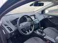 Ford Focus Wagon 1.0 Titanium | Navigatie | Cruise Control | Negro - thumbnail 13