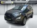 Ford EcoSport 1.0 EcoBoost Titanium *HU/AU neu* Gris - thumbnail 1