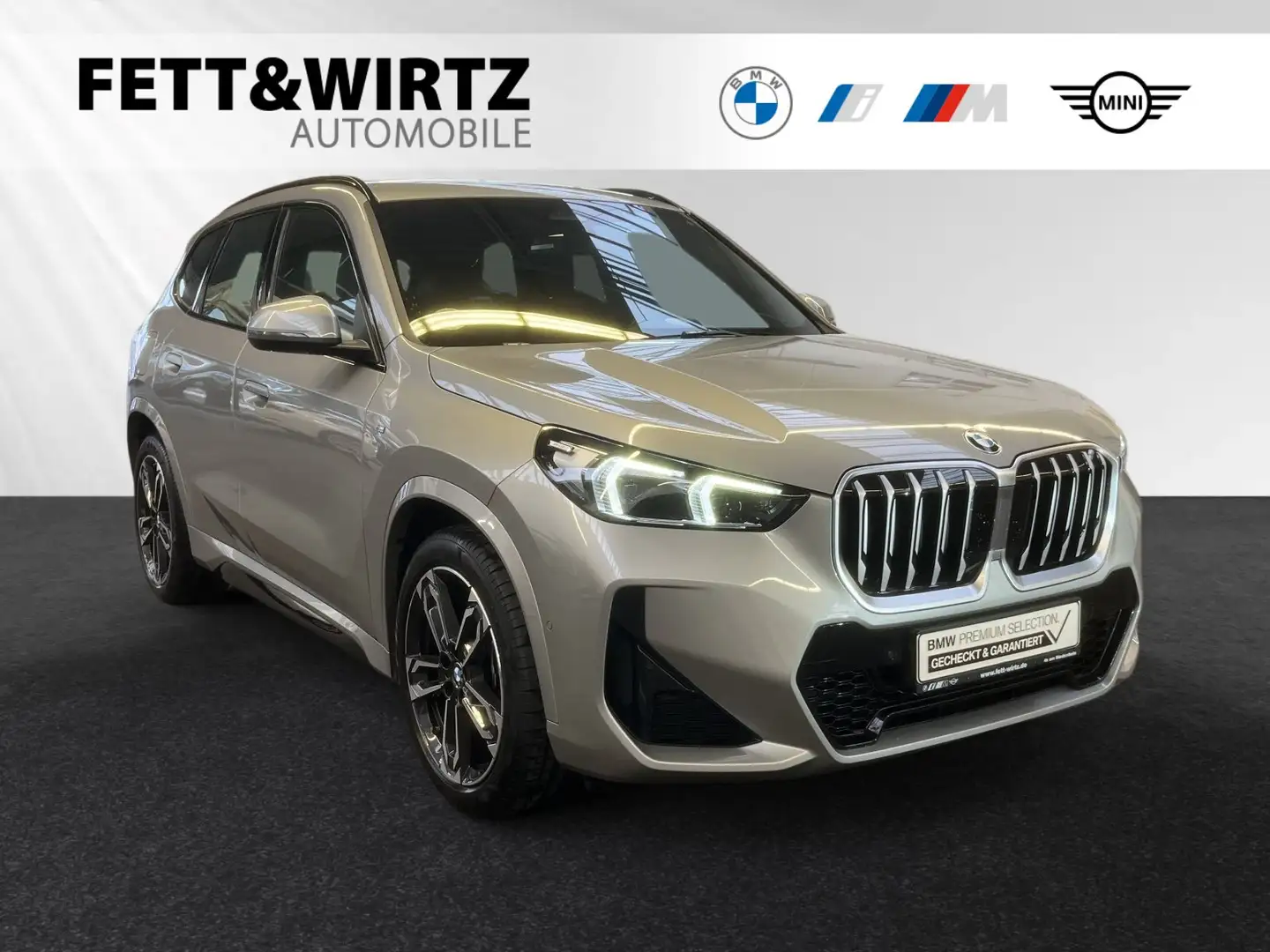 BMW X1 xDrive20d M Sport|AHK|Harman/Kardon|19"LM Silber - 1