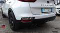 Kia Sportage Sportage 1.6 CRDI 136 CV DCT7 2WD Mild Hybrid GT L Wit - thumbnail 6