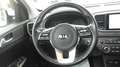 Kia Sportage Sportage 1.6 CRDI 136 CV DCT7 2WD Mild Hybrid GT L Wit - thumbnail 17