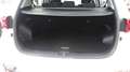 Kia Sportage Sportage 1.6 CRDI 136 CV DCT7 2WD Mild Hybrid GT L Wit - thumbnail 8