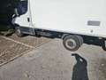 Iveco Daily 35S16 2.3hpi FRIGO FRB -10 GRADI Blanco - thumbnail 10