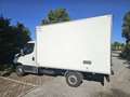Iveco Daily 35S16 2.3hpi FRIGO FRB -10 GRADI Blanco - thumbnail 7