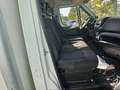 Iveco Daily 35S16 2.3hpi FRIGO FRB -10 GRADI Blanco - thumbnail 9