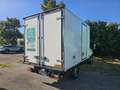 Iveco Daily 35S16 2.3hpi FRIGO FRB -10 GRADI Blanco - thumbnail 3