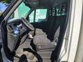 Iveco Daily 35S16 2.3hpi FRIGO FRB -10 GRADI Blanco - thumbnail 8