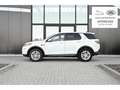 Land Rover Discovery Sport D150 S 2 YEARS WARRANTY Bianco - thumbnail 7