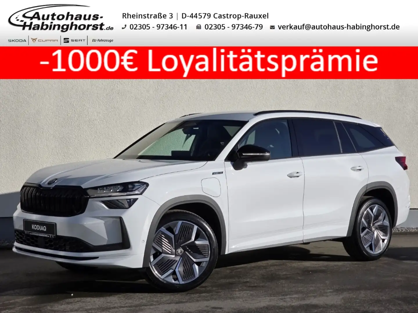 Skoda Kodiaq II 1.5 TSI iV DSG Sportline AHK 360 Navi Matrix 20 Weiß - 1