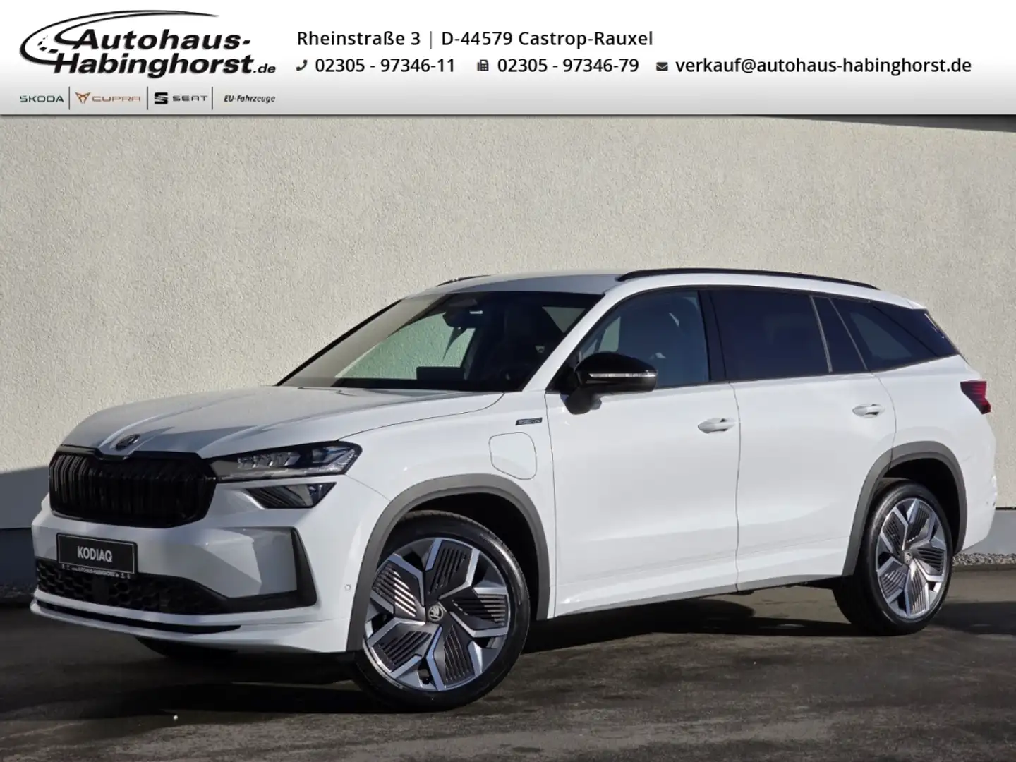 Skoda Kodiaq II 1.5 TSI iV DSG Sportline AHK 360 Navi Matrix 20 Weiß - 1