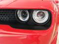 Dodge Challenger SXT 3.6 V6 Veränderungen typisiert Rouge - thumbnail 4