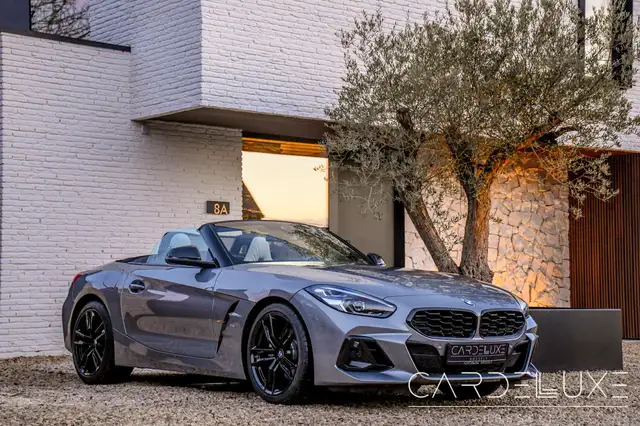 BMW Z4 Z4 MSPORT 30i | CAMERA | H& K | LED | SKYSCRAPER !
