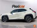Lexus UX 250h 2.0 Business Blanco - thumbnail 4