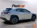Lexus UX 250h 2.0 Business Blanco - thumbnail 8