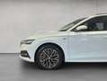 Skoda Octavia Combi 2.0 TDI DSG Clever Weiß - thumbnail 21