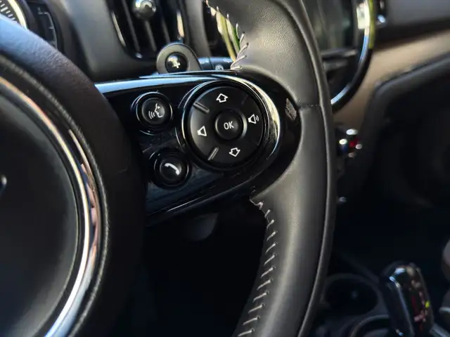 Mini Countryman view 18