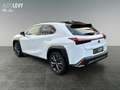 Lexus UX 300h F Sport Design *NAVI*CARPLAY&AA*SHZ* Blanc - thumbnail 4