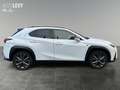 Lexus UX 300h F Sport Design *NAVI*CARPLAY&AA*SHZ* Blanc - thumbnail 7