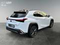 Lexus UX 300h F Sport Design *NAVI*CARPLAY&AA*SHZ* Blanc - thumbnail 6