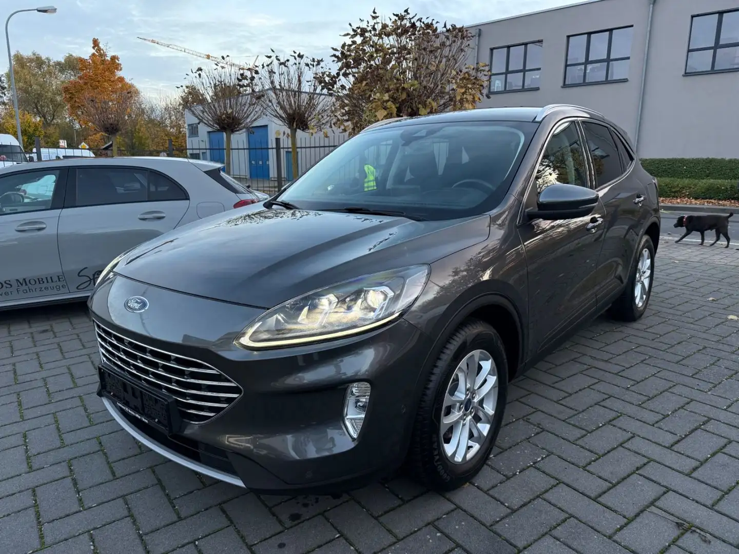 Ford Kuga Titanium Grau - 1
