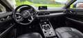 Mazda CX-5 Mazda CX-5 2.2 CD175 AWD Revolution Top | Pickerl bis 08/27 | 8-fach bereift l AHK Grau - thumbnail 5
