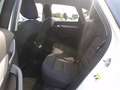 Audi Q3 2.0 tdi advanced 140cv Alb - thumbnail 12