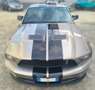 Ford Mustang Shelby GT 500 Gris - thumbnail 5