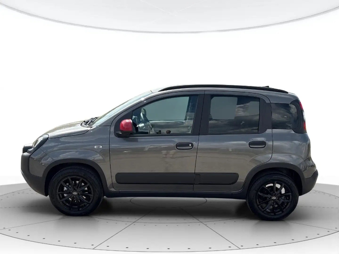Fiat New Panda Panda 1.0 firefly hybrid s&s 70cv 5p.ti Grigio - 2