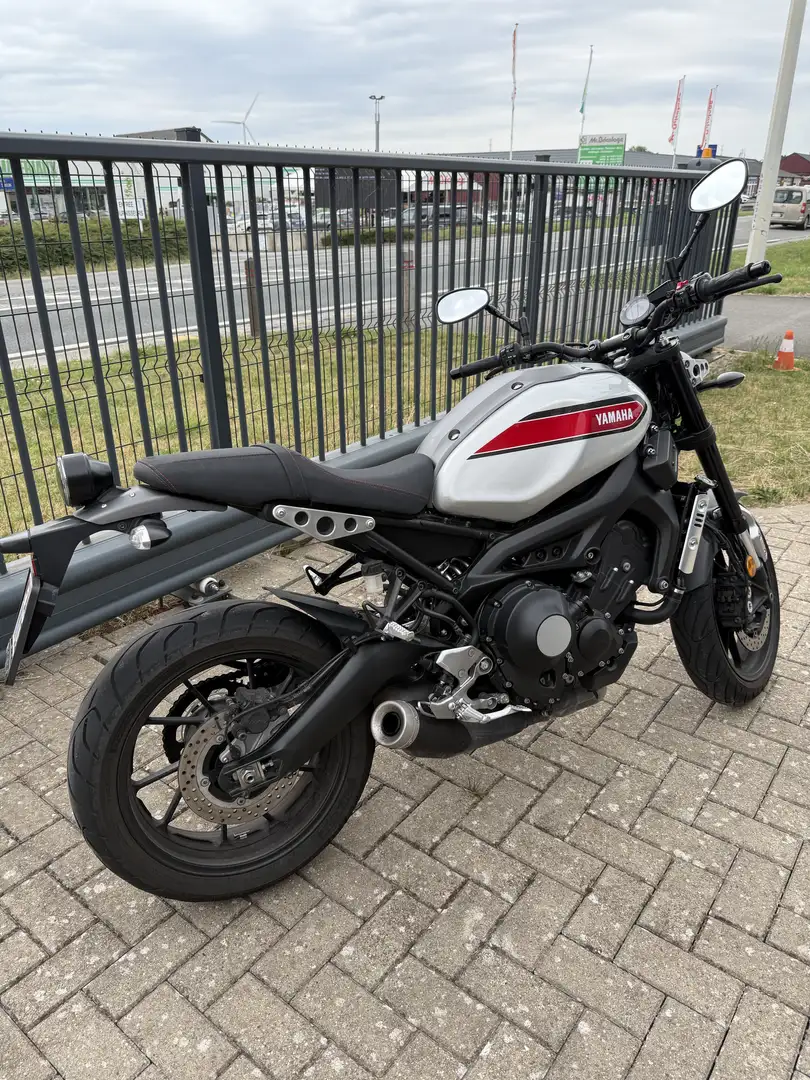 Yamaha XSR 900 - 1