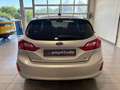 Ford Fiesta 1.0 EcoBoost 125ch mHEV Titanium Business 5p Gris - thumbnail 6