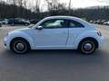 Volkswagen Beetle Design 1.2 TSI DSG *Kamera*Tempomat* Bianco - thumbnail 6