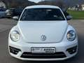 Volkswagen Beetle Design 1.2 TSI DSG *Kamera*Tempomat* White - thumbnail 8