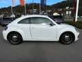Volkswagen Beetle Design 1.2 TSI DSG *Kamera*Tempomat* Bílá - thumbnail 2