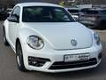 Volkswagen Beetle Design 1.2 TSI DSG *Kamera*Tempomat* White - thumbnail 1