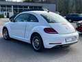Volkswagen Beetle Design 1.2 TSI DSG *Kamera*Tempomat* Bílá - thumbnail 5