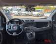 Fiat Panda Panda 0.9 t.air t. natural power Lounge 80cv E5+ Blanc - thumbnail 5