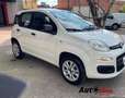 Fiat Panda Panda 0.9 t.air t. natural power Lounge 80cv E5+ Blanc - thumbnail 4