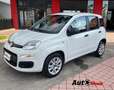 Fiat Panda Panda 0.9 t.air t. natural power Lounge 80cv E5+ Blanc - thumbnail 2