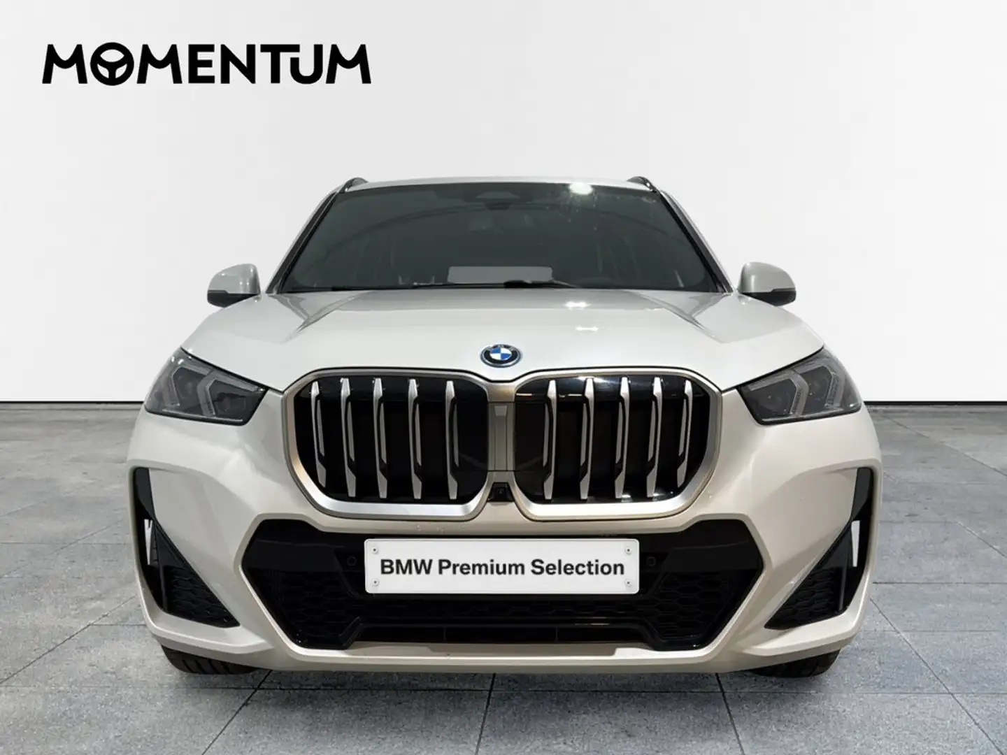 BMW X1 xDrive25eA Blanco - 2