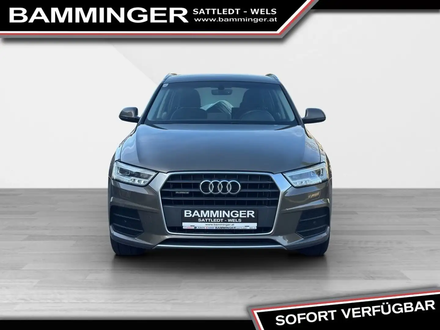 Audi Q3 Intense Quattro - 8 fach Bereift Braun - 2