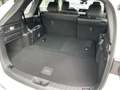 Mazda CX-80 CX-80 AWD PHEV Homura Leder 7 Sitze Matrix-LED Blanc - thumbnail 8