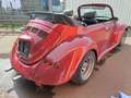 Volkswagen Käfer Cabrio Dannert Umbau Rot - thumbnail 10