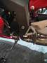 Honda CBR 1100 Honda cbr1100xx Fuel injection Rosso - thumbnail 7