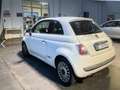 Fiat 500 500 III 1.2 Lounge 69cv Bianco - thumbnail 14