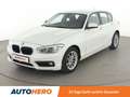 BMW 116 116d Advantage Weiß - thumbnail 1