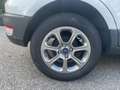 Ford EcoSport 1.0 EcoBoost 125 CV*Tetto*Navi*Cerchi*Neopatentati Weiß - thumbnail 11