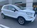 Ford EcoSport 1.0 EcoBoost 125 CV*Tetto*Navi*Cerchi*Neopatentati Weiß - thumbnail 6