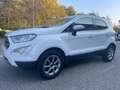 Ford EcoSport 1.0 EcoBoost 125 CV*Tetto*Navi*Cerchi*Neopatentati Weiß - thumbnail 2