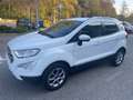Ford EcoSport 1.0 EcoBoost 125 CV*Tetto*Navi*Cerchi*Neopatentati Weiß - thumbnail 3